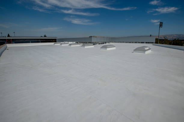 Best Rubber Roofing (EPDM, TPO)  in Sugar City, ID